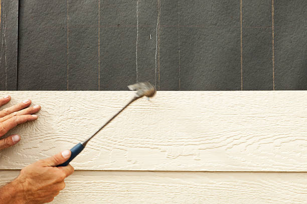 Best Steel Siding Installation  in Englewood, FL